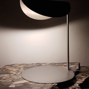 Contemporary Collectible Design Stainless Steel Desk Lamp on a table
